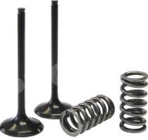 Titanium Valve and Spring / วาล์วและสปริง ไทเทเนียม